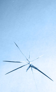 Steinschlagreparatur